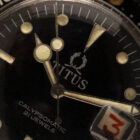 TITUS CALYPSOMATIC腕表 “EXOTIC”表盘